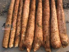 淮山的饮食禁忌 这些
