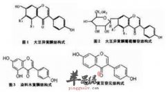 哪些人群不适合吃异黄酮