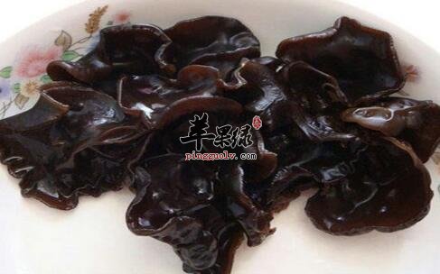 利胆的食物有哪些