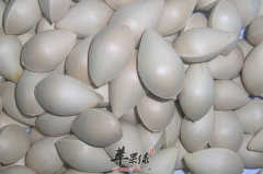 白果不能跟哪些食物