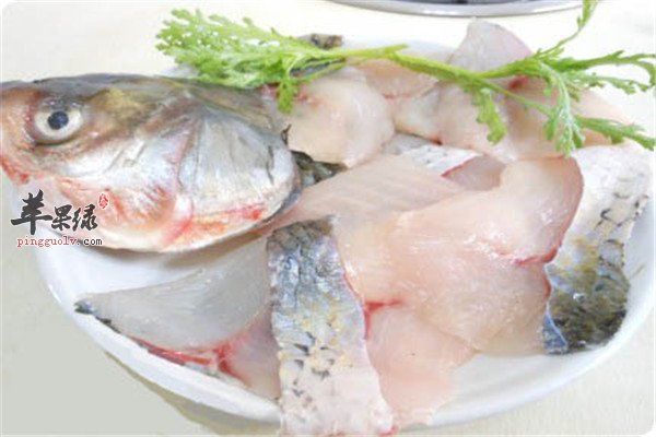 白鲢鱼2.jpg