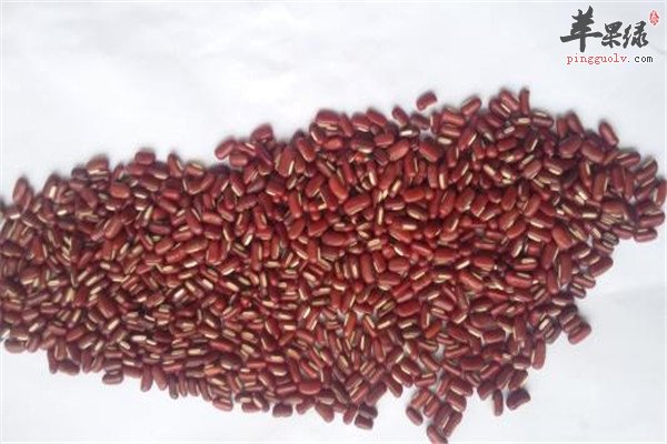 赤小豆的副作用你知道吗_苹果绿