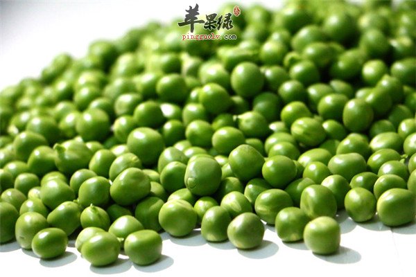 绿豆6.jpg