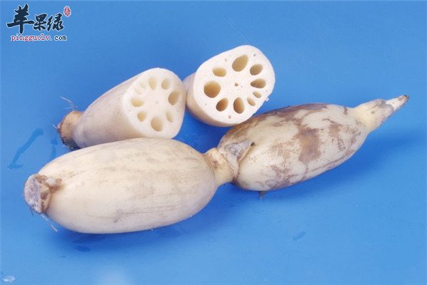 藕节有什么用 还能治疗疾病