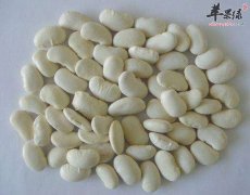 白豆的宜忌人群都有