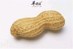 花生里有什么营养物质