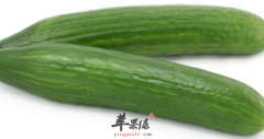 关于黄瓜的精选食疗方介绍