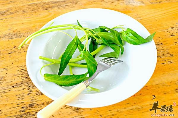 夏季养生常识 穿衣饮食都有注意