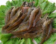 对虾的哪些部位不能