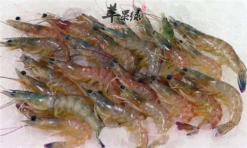 哪些人不适合食用对虾呢