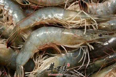 哪些人不适合食用对虾呢