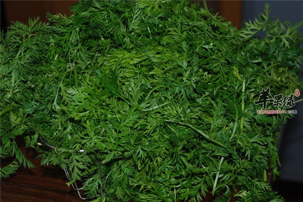 盘点胡萝卜缨的营养成分和功效