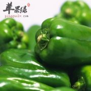 哪些人不适合食用青