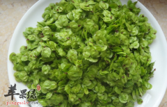 榆钱的两道保健食谱