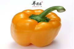 柿子椒的保健功效大