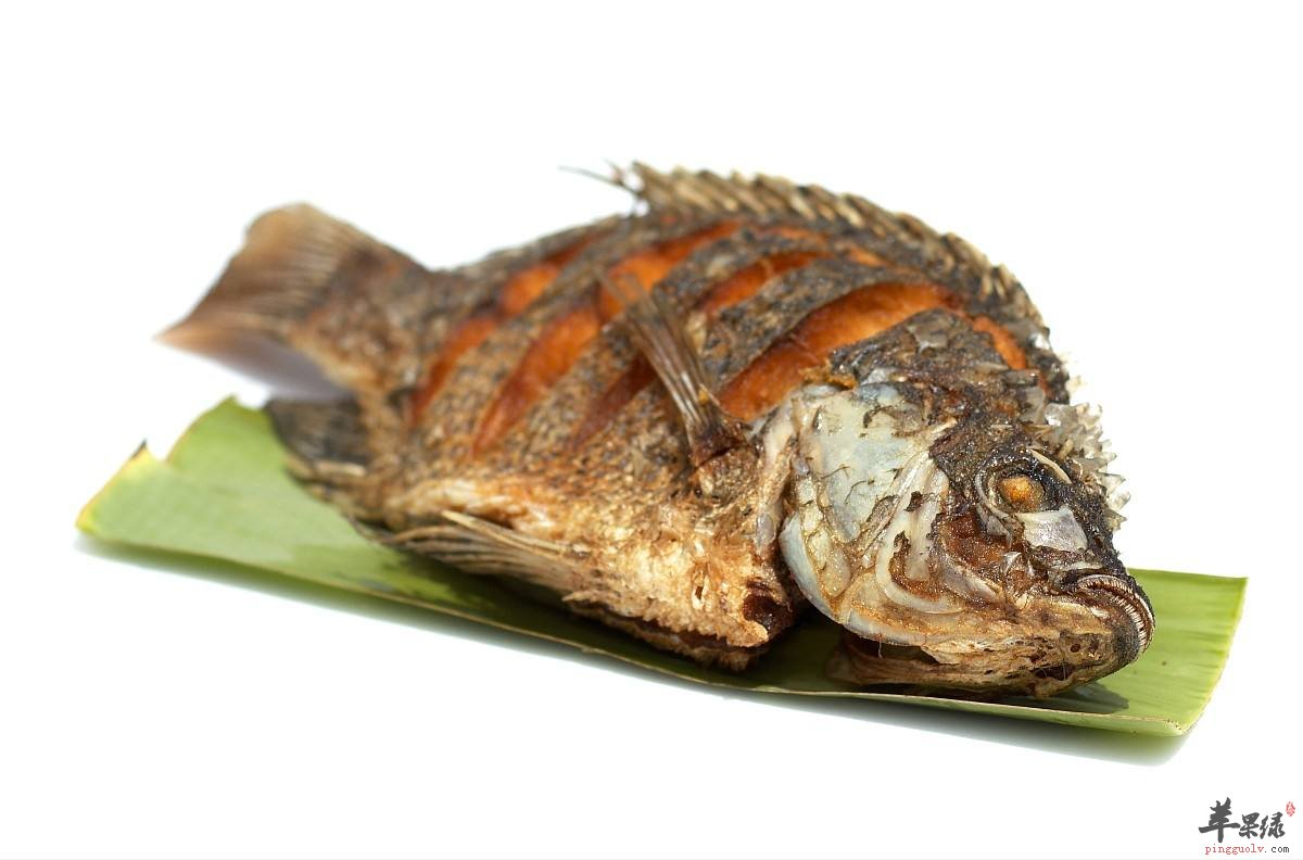 罗非鱼的烹饪技巧 让你吃到美味罗非鱼