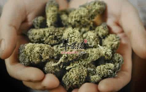 大麻的治病疗方有哪些