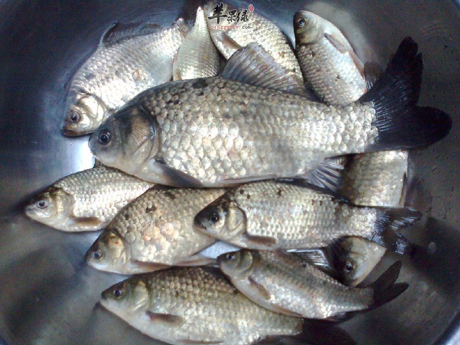 食用鲫鱼的营养功效
