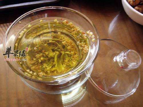 桂花泡茶喝好 这些人不适合服用