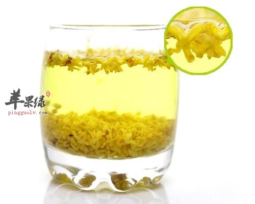 桂花泡茶喝好 这些人不适合服用
