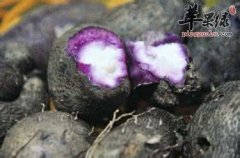 食用大薯的禁忌有哪些