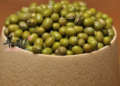綠豆對于人體健康都有哪些功用
