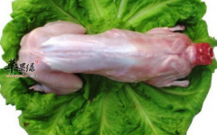 兔肉可以治病的食疗
