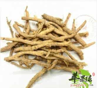 中药材志远的应用以及食疗方法 苹果绿 中药材志远的应用以及食疗方法 苹果绿