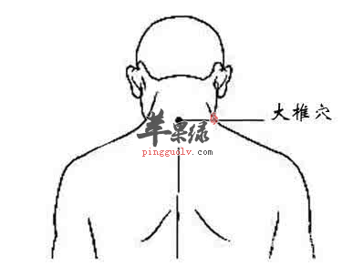 大椎穴的位置与配伍应用讲解