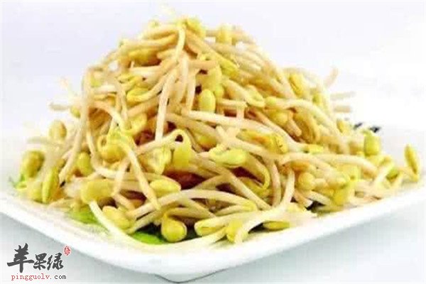 黄豆芽5.jpg