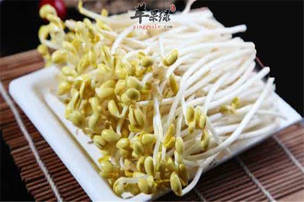 绿豆芽和黄豆芽有什么区别