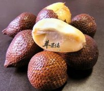 蛇皮果的功用与营养禁忌介绍
