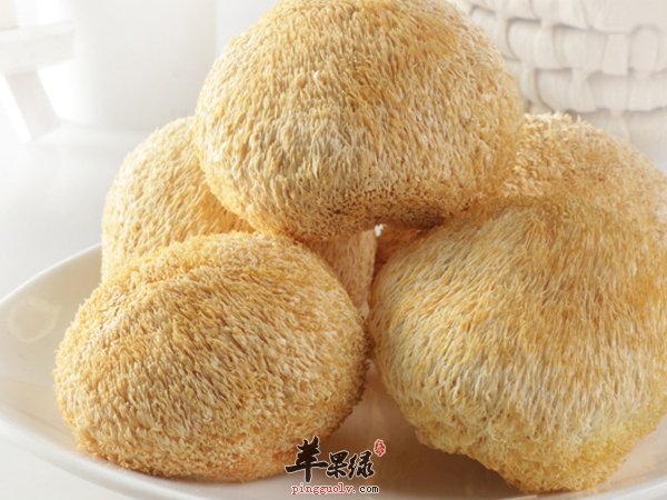 猴头菇的功效有哪些 猴头菇怎么吃
