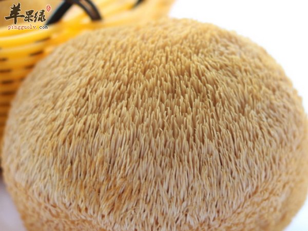 吃猴头菇有什么好处 猴头菇的营养价值