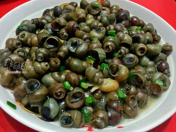 螺蛳的三道食谱推荐赶快尝尝