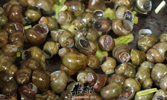 螺蛳的三道食谱推荐赶快尝尝
