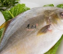 鲳鱼的食用营养价值