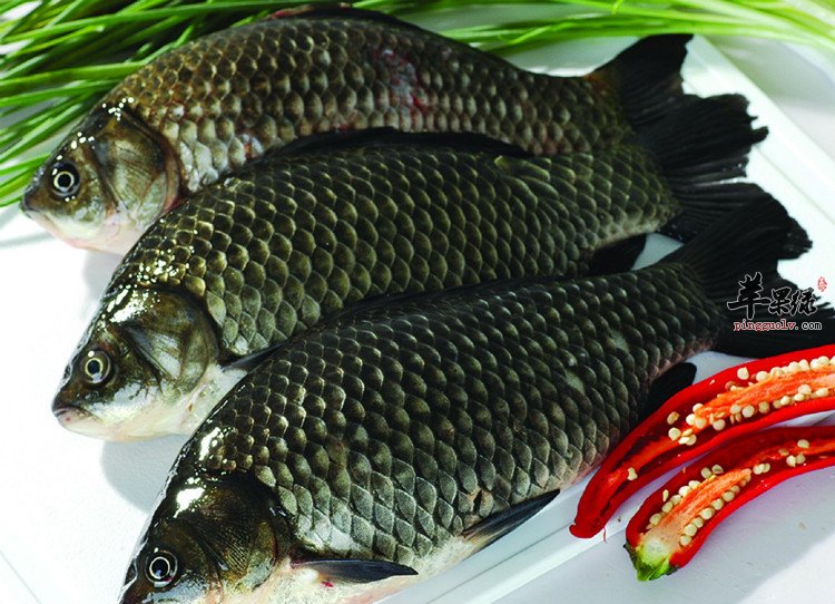 经常食用鲫鱼有什么好处