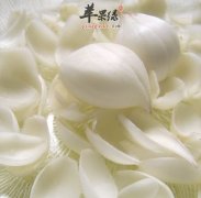 百合花的治病药膳讲解给你