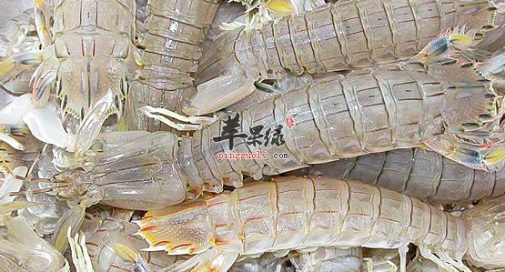 食用皮皮虾的六大保健功用讲解