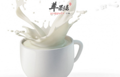 喝牛奶的禁忌不可不