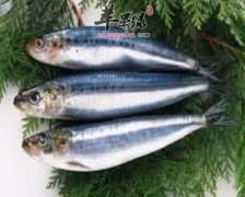 如何挑选优质的青鱼
