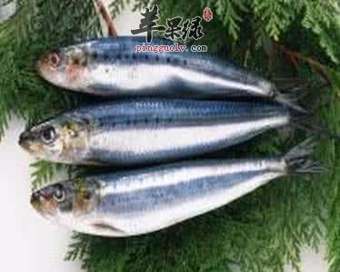 如何挑选优质的青鱼