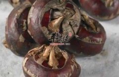 介绍一些荸荠的治病