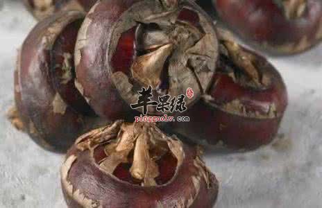 介绍一些荸荠的治病疗方