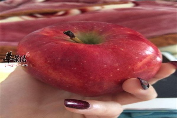 吃蛇果的这些好处你了解吗