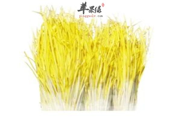 蒜黄的营养价值以及食疗功效