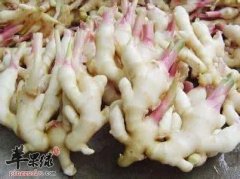 子姜的营养价值和适