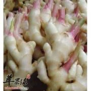 子姜的药用功效有哪