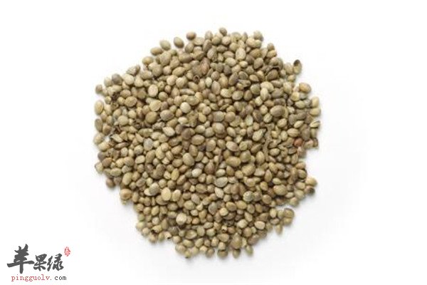 火麻仁的药用功效和主要成分